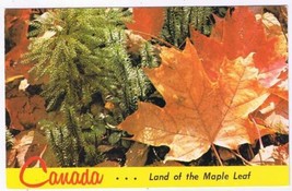 Canada Postcard Land Of The Maple Leaf - £1.57 GBP