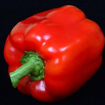 Vegetable Seeds Yolo Wonder Sweet Pepper 20 Seeds Fresh Seeds From US - £12.06 GBP