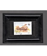 Framed Stamp Art - Caucasian Grouse - Endangered Wild Life - $184.99 MXN