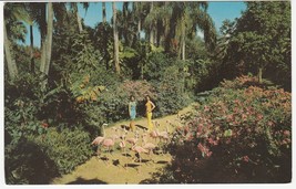 Vintage Postcard Sunken Gardens Florida Women Flamingos Flowers 1960&#39;s Unused - £5.51 GBP