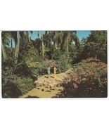 Vintage Postcard Sunken Gardens Florida Women Flamingos Flowers 1960&#39;s U... - £5.43 GBP