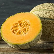 Honey Rock Melon Seeds Fast Shipping - $13.29