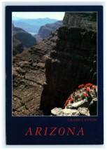 Claret Cup Hedgehog Cactus Grand Canyon AZ Aerial View Postcard - $7.00