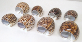 Set of 8 Polished Shell Napkin Holders Brown Open on Back Beach Beachy N... - $33.85