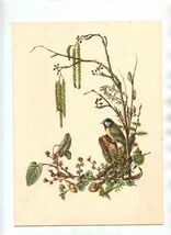 5 Holland America Line Menus Bird Cover 1953 Thrush Turtle Dove Lapwing ... - $27.72