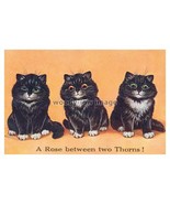 rp09480 - Louis Wain Cats - A Rose Between 2 Thorns - print 6x4 - $52.81 MXN