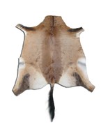 Deer Skin African Red Hartebeest Skin buck skin African Deer Skin Antelo... - $3,657.33 MXN