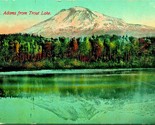 Mt Adams From Trout Lake Sunnyside Washington WA 1912 DB Postcard - $3.91