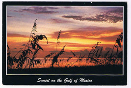 Postcard Florida Sunset On The Gulf Of Mexico - £2.28 GBP