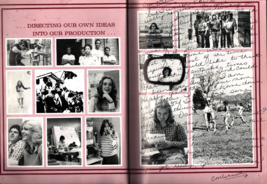 Franklin County High School Yearbook 1978 &quot;Rebel&quot; Nostalgic look back writing - £29.06 GBP