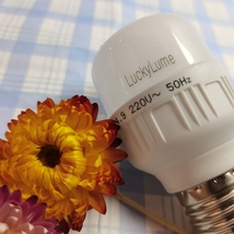 LuckyLume Lamp Bulbs – Light Up Your Space image 6