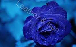 Blue Rose Design Vinyl Checkbook Cover - £6.84 GBP