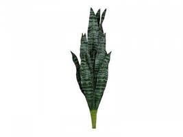 EUROPALMS Bogenhanf (Eva ), Artificial, Green, 23 5/8in - £18.27 GBP