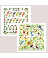 Wild Birds Bandanna 2-Pack Bundle Songbrids Hummingbirds Nature Facts Ca... - $18.04