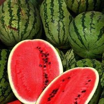 SG 25 Of ALL SWEET Watermelon Seeds Collection - Heirloom NON-GMO Varieties - $3.68