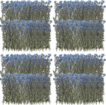 200 Pcs Natural Forget Me Not Pressed Dried Flowers Blue Don&#39;T Forget Me Dried F - £22.46 GBP