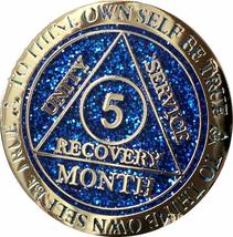 Recoverychip 5 Month AA Medallion Reflex Blue Glitter Gold Plated Chip - £13.28 GBP