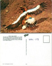 USA Eagle Dancer Pueblo Native American Vintage Postcard - £7.51 GBP