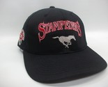 Calgary Stampeders CFL Football Hat Black Snapback Baseball Cap - $19.99