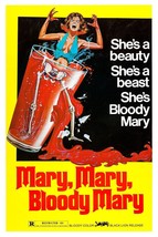 1975 Mary Mary Bloody Mary Movie Poster 11X17 Cristina Ferrare Horror Vampire  - £9.74 GBP