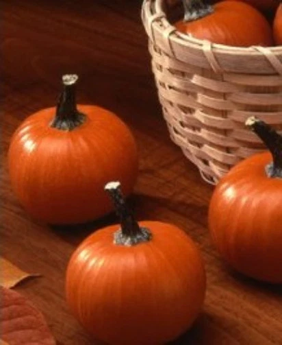 Pumpkin Seeds, Wee Bee Little, Mini Pumpkin, Heirloom Pumpkin Seed, Non-... - $11.10