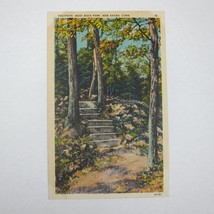 Vintage 1930-40s Linen Postcard New Haven Connecticut West Rock Park UNPOSTED - £4.69 GBP