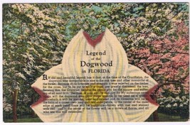 Postcard Legend Of The Dogwood In Florida - £2.24 GBP