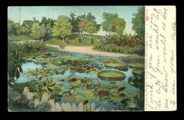 Vintage Paper Postcard Lincoln Park Lily Pond Chicago 1911 Cancel - £10.07 GBP
