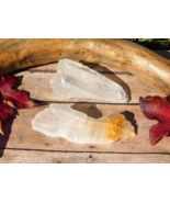 Golden Phantom Selenite Set of Two from Utah Natural Crystals Energy Hea... - $24.69 CAD