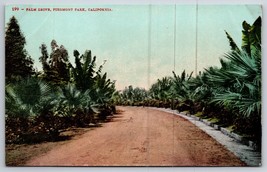 Palm Drive Piedmont Park California CA UNP Unused DB Postcard C16 - $6.88