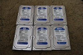 Lot of 6 Western Digital SATA 250GB Desktop PC Internal 3.5" SATA Hard Drive HDD - £27.05 GBP