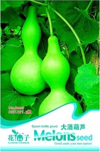 Lagenaria Siceraria Big Wine Spoon Bottle Gourd Pack 5 Pack B007 - £6.50 GBP