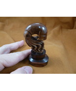 (tb-squid-4) little tan reef Squid TAGUA NUT palm figurine Bali carving ... - £33.53 GBP