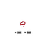 Belkin A3L980-04-RED-S 4FT CAT6 RED SNAGLESS UTP RJ45 M/M BELKIN BAGLABEL - $341.68 MXN