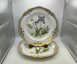 Pair Of Spode Fine Bone China Stafford Flowers Dinner Plates Made In England - £358.58 GBP