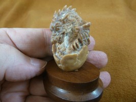 (tb-drag-1) tan baby Dragon egg Tagua NUT figurine Bali detailed carving... - $39.97