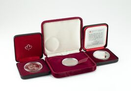 1982-1984 Canada Dollar Collection Lot - €68,62 EUR