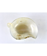 Hand Crafted Natural Chalcedony Carved Leaf 510 Carats gemstone Bowl Hom... - €371,25 EUR
