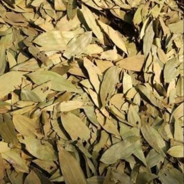 Daun Kayu Manis Kering (Dry Cinnamon Leaf Dried), 80 Gram