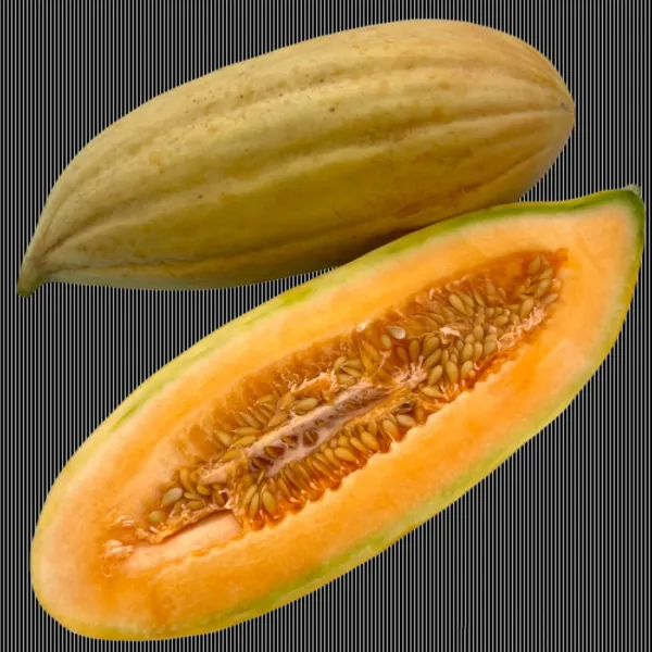25+ Banana Melon Seeds Non Gmo Heirloom Cantaloupe Muskmelon Fresh Garden - $7.50