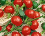 30 Red Cherry Hots Pepper Seeds Fast Shipping - $8.99