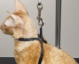 CAT Small DOG Adjustable Groomer HARNESS Restraint Loop*FOR Grooming Tab... - $11.99