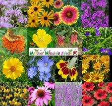 Best Wildflower Mix Native All Perennial Butterflies Bees Heirloom 500 Seeds - £3.73 GBP