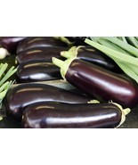 Eggplant heirloom  seeds - 200 seeds - code 015 - $91.84 MXN Eggplant heirloom  seeds - 200 seeds - code 015 - $91.84 MXN