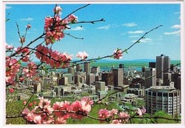 Postcard Picturesque View Of Montreal From Mount Royal - £2.19 GBP