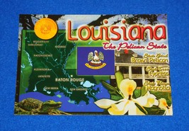 **Brand New** Cool Louisiana Pelican State Flag Seal Postcard Magnolia Alligator - £3.12 GBP