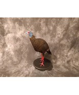 Full Mounted  Taxidermy Ocellated Turkey with Custom Base - £2,988.51 GBP