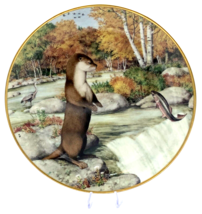 Otter at a September Waterfall The Woodland Year Signature Edition Plate... - £7.96 GBP