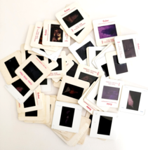 1980s IAnimals Lot Of 57 Pcs 35mm Slides Mammals Reptiles Turtles Vintag... - $646.89 MXN