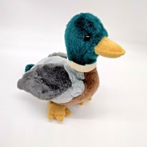 TY Original Beanie Buddy “Jake” The Mallard Duck 1998 Retired Clean Sanitized - £10.44 GBP